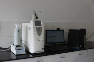 人妻少妇av无码一区二区