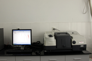 人妻少妇av无码一区二区