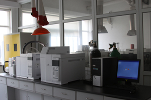 人妻少妇av无码一区二区