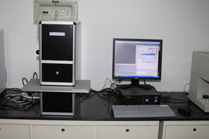 人妻少妇av无码一区二区