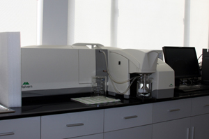 人妻少妇av无码一区二区